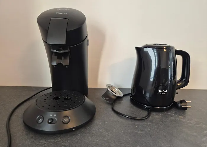 Centre Historique Le Vivien *